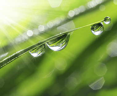sustainability_main_760x620